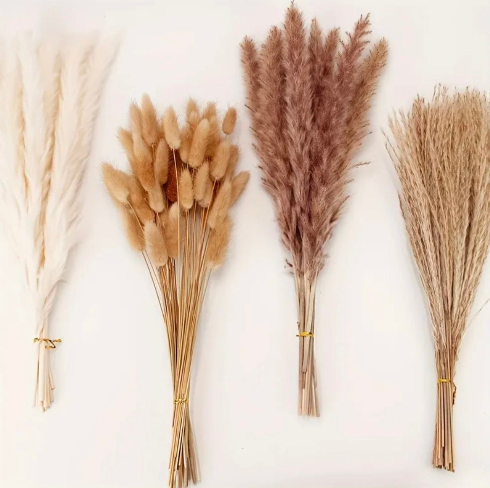 Boho Chic Pampas
