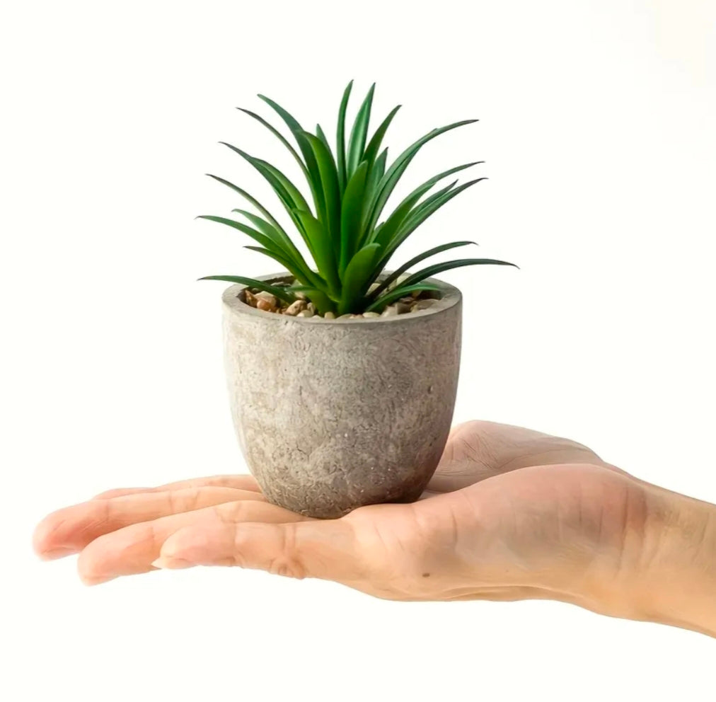 Mini Decorative Plant Pot