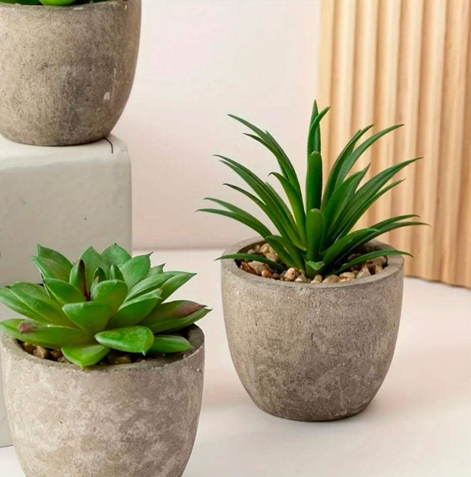 Mini Decorative Plant Pot