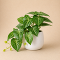 Faux Potted Plant