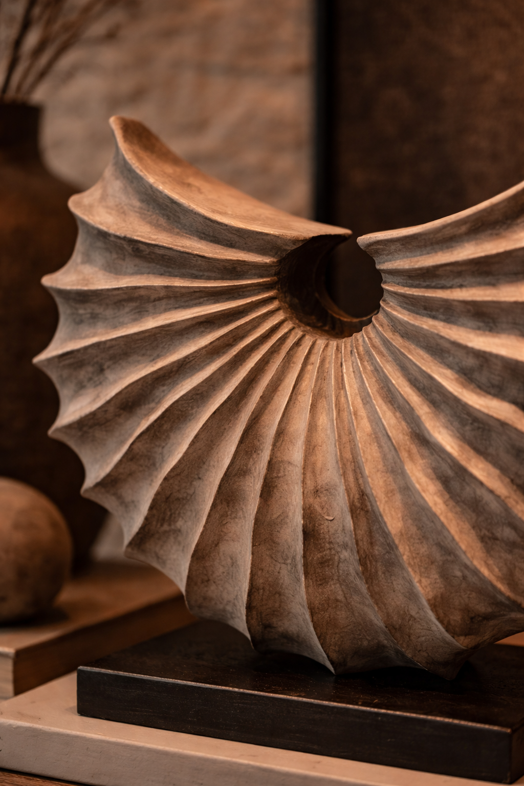 Sculptural Shell Accent